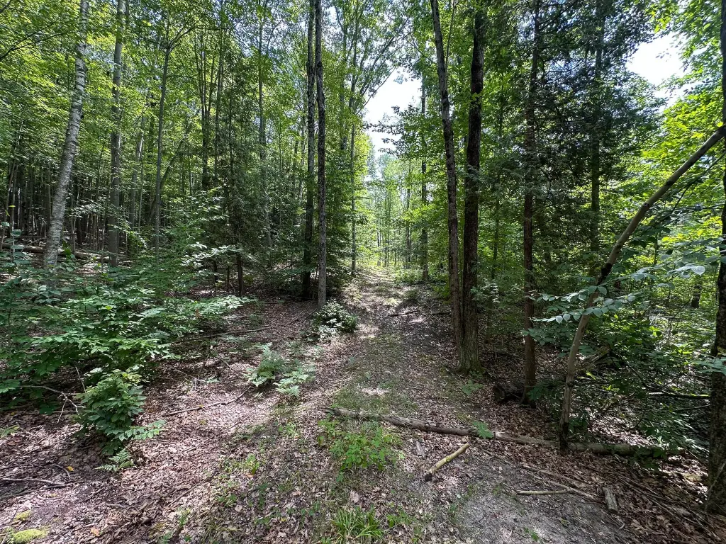 Picture 25