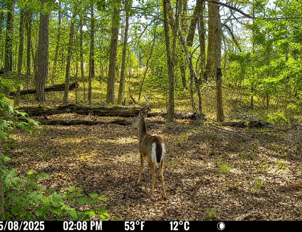 Picture 3