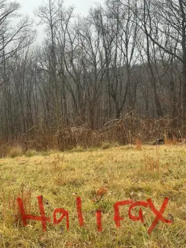 Vinton, VA Undeveloped Land