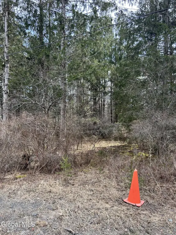 Picture 5