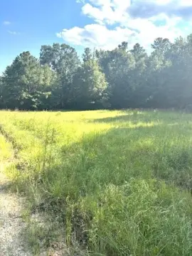Residential Lot in Chappells, SC