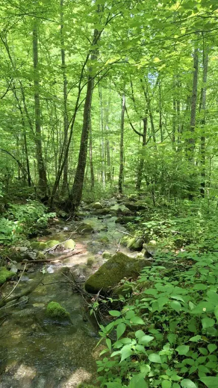 Picture 10