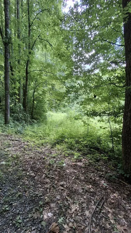 Picture 12