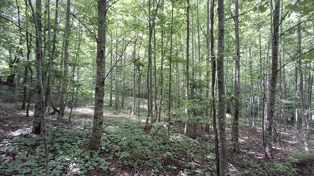 Picture 3