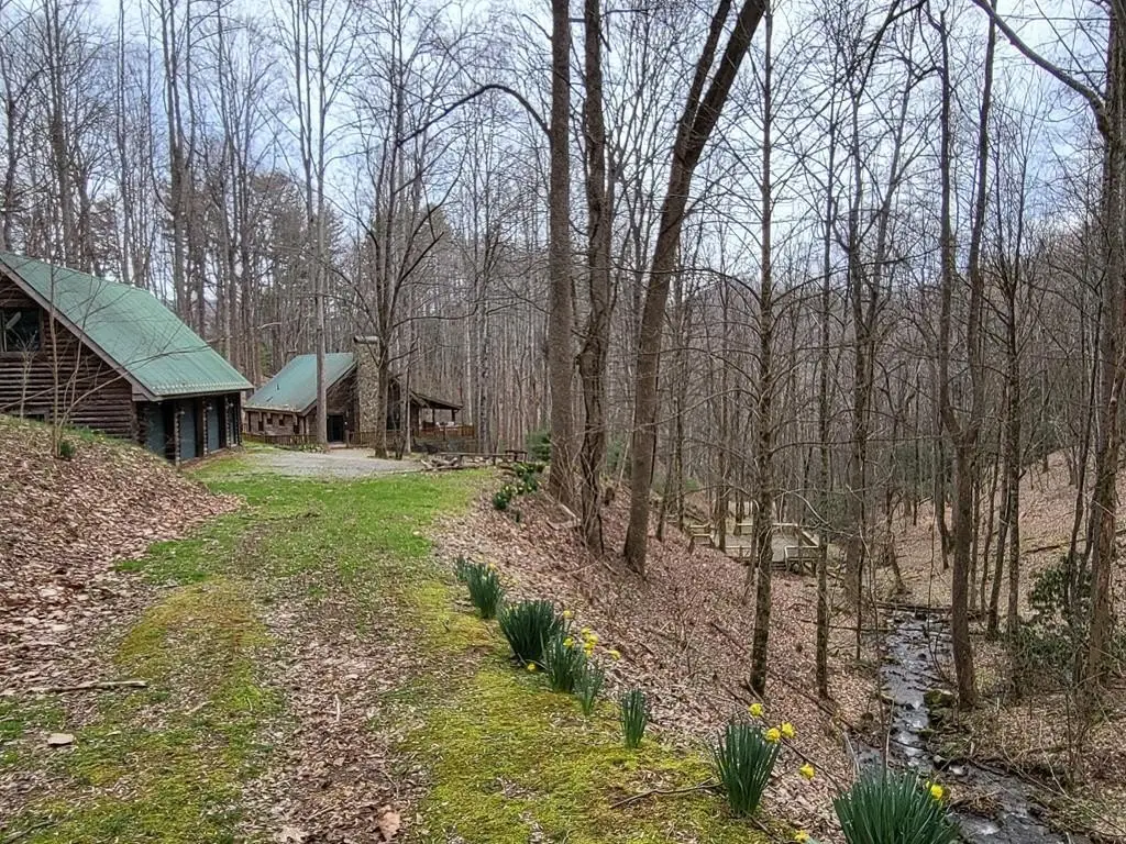 Picture 4