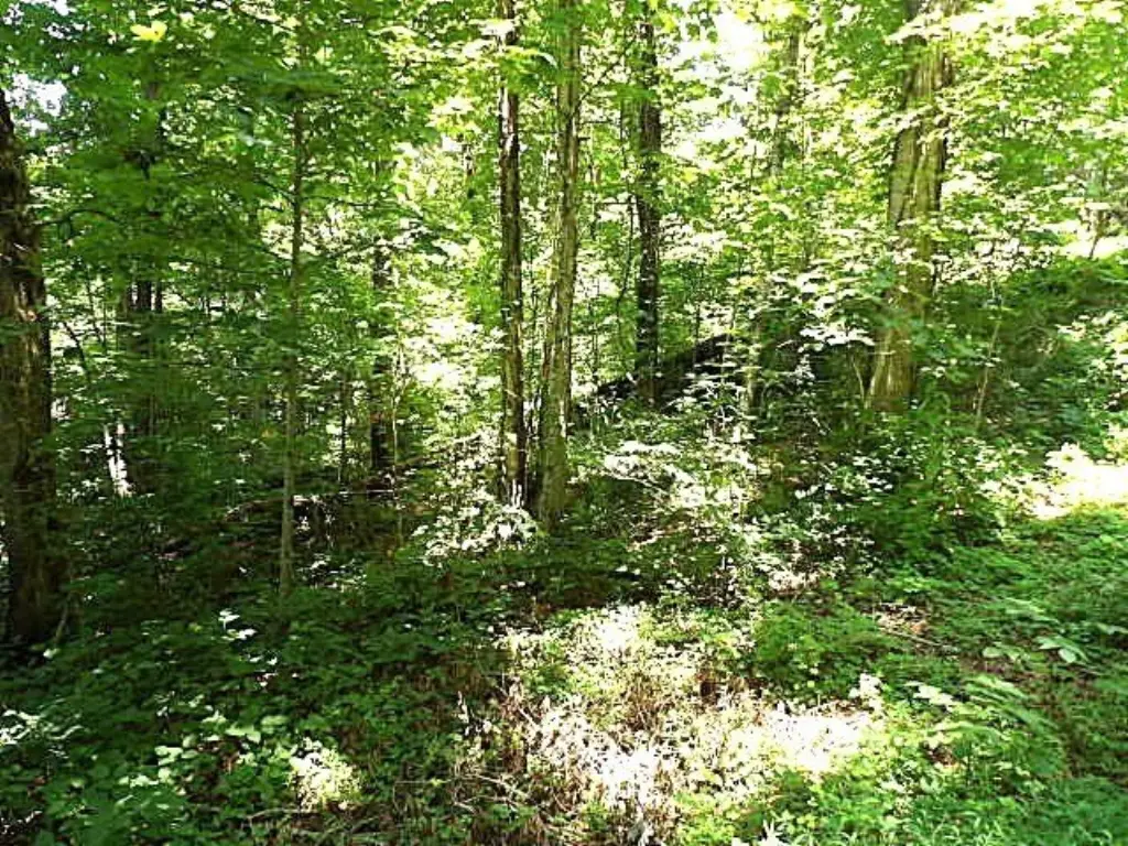 Picture 2
