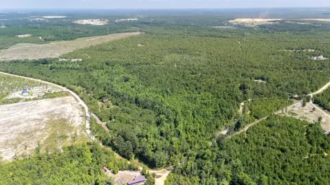 22.1 Acres Wooded Land