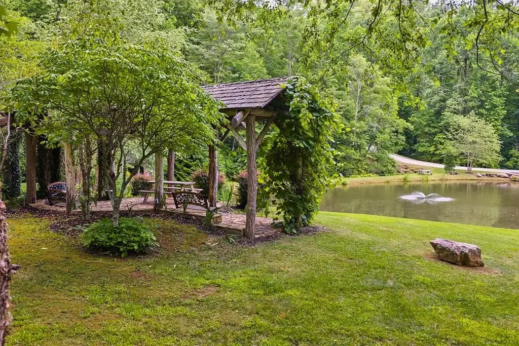 Picture 7