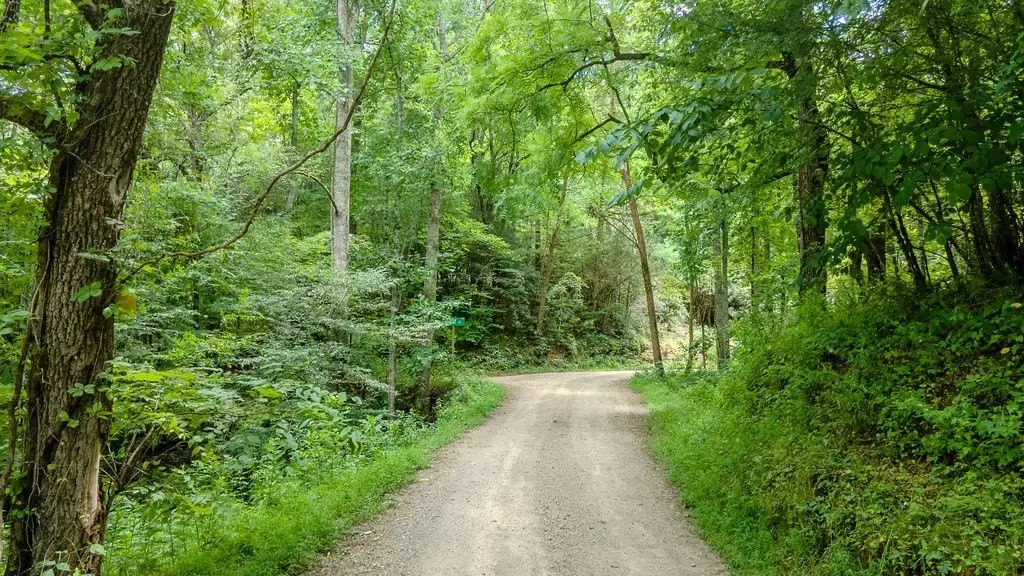 Picture 23