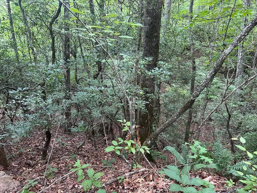 Picture 25