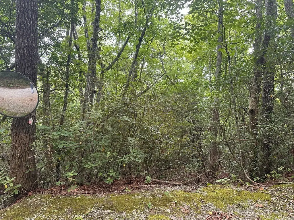 Picture 27
