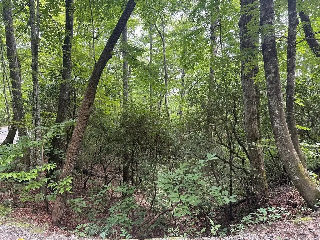 Picture 16