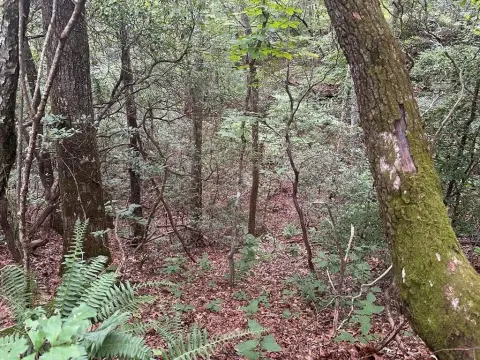 Residential Land Homesite Opportunity