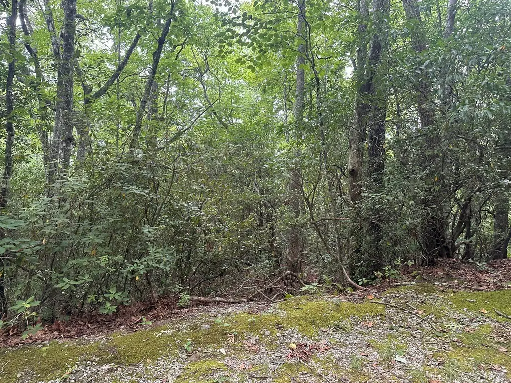 Picture 28