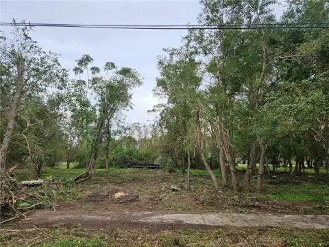 Vacant Land in New Orleans