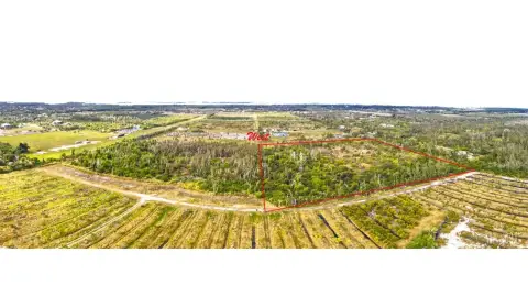 Pine Island Acreage: Natural Landscape