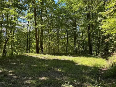 Hayesville Vacant Lot with Views