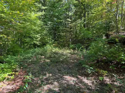 Hayesville Vacant Lot with Views