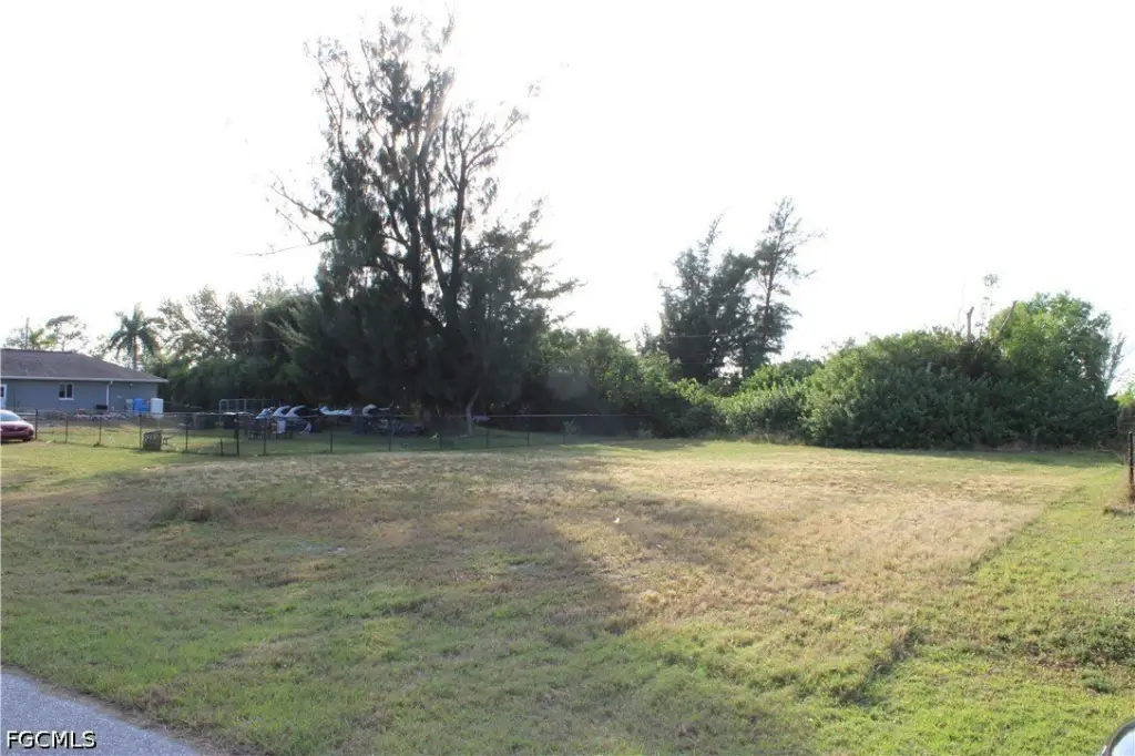 Picture 8