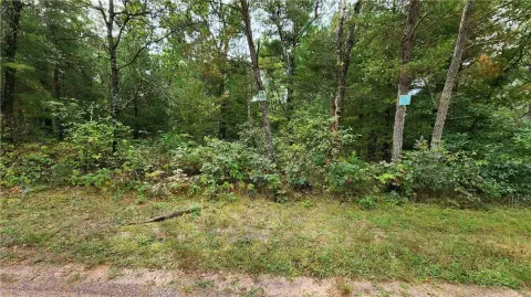 Wooded Land with Subdivision Amenities