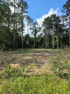 Cleared 1-Acre Lot by Lake