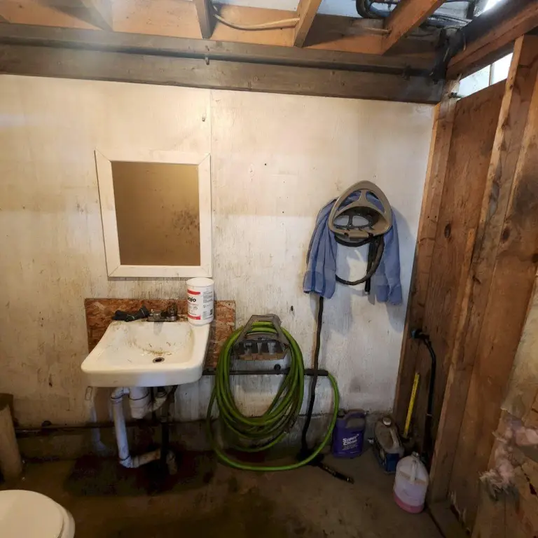 Picture 18
