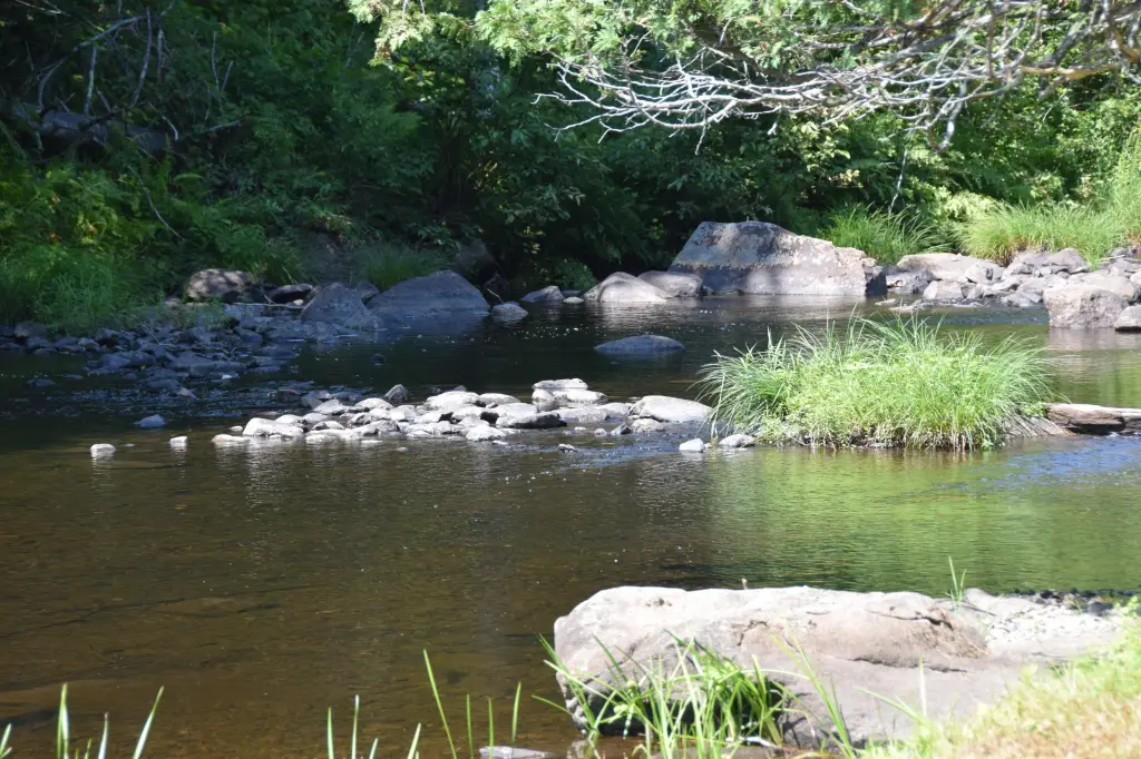Picture 7