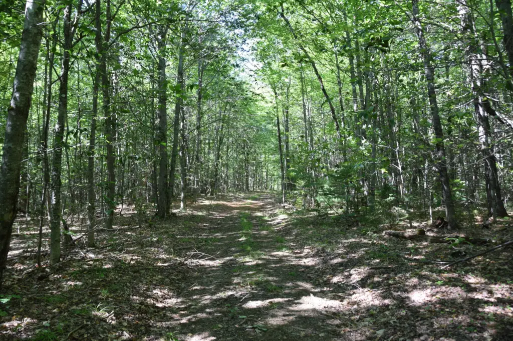 Picture 23
