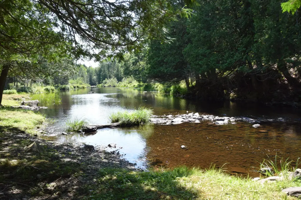 Picture 9