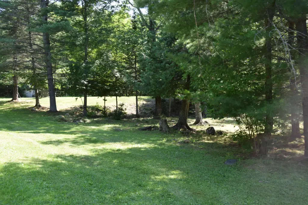 Picture 12