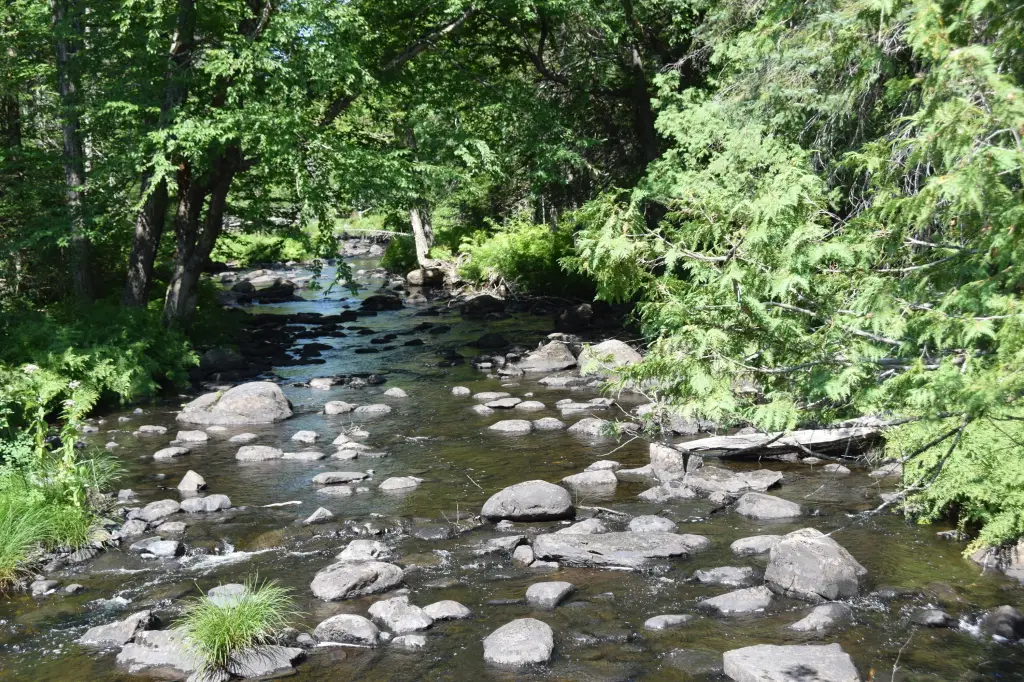 Picture 11