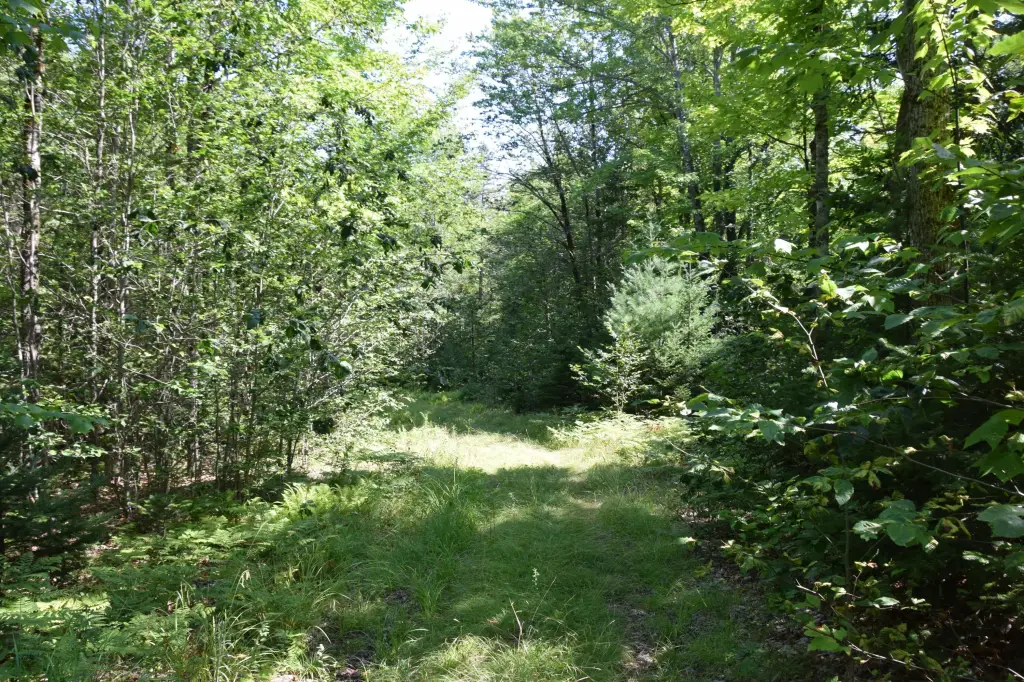 Picture 26
