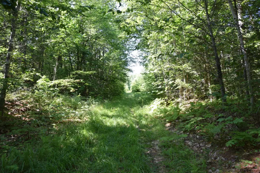 Picture 21