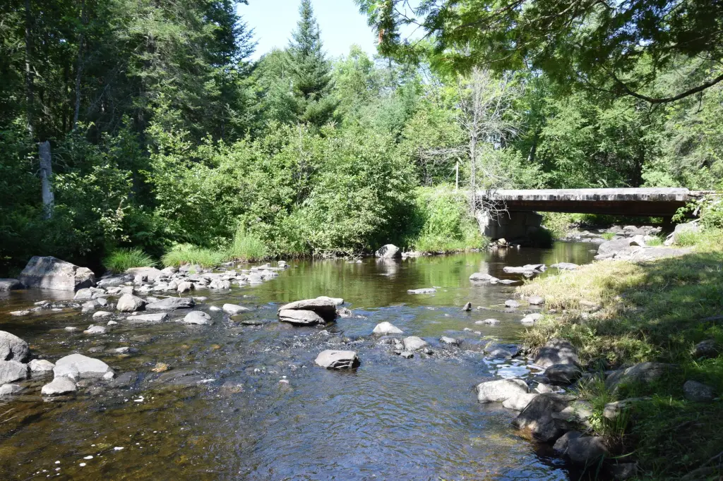 Picture 10