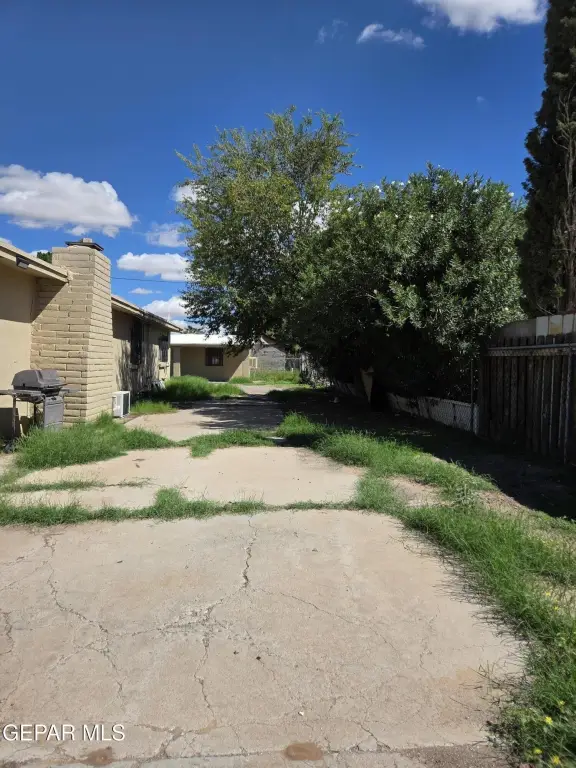 Picture 31