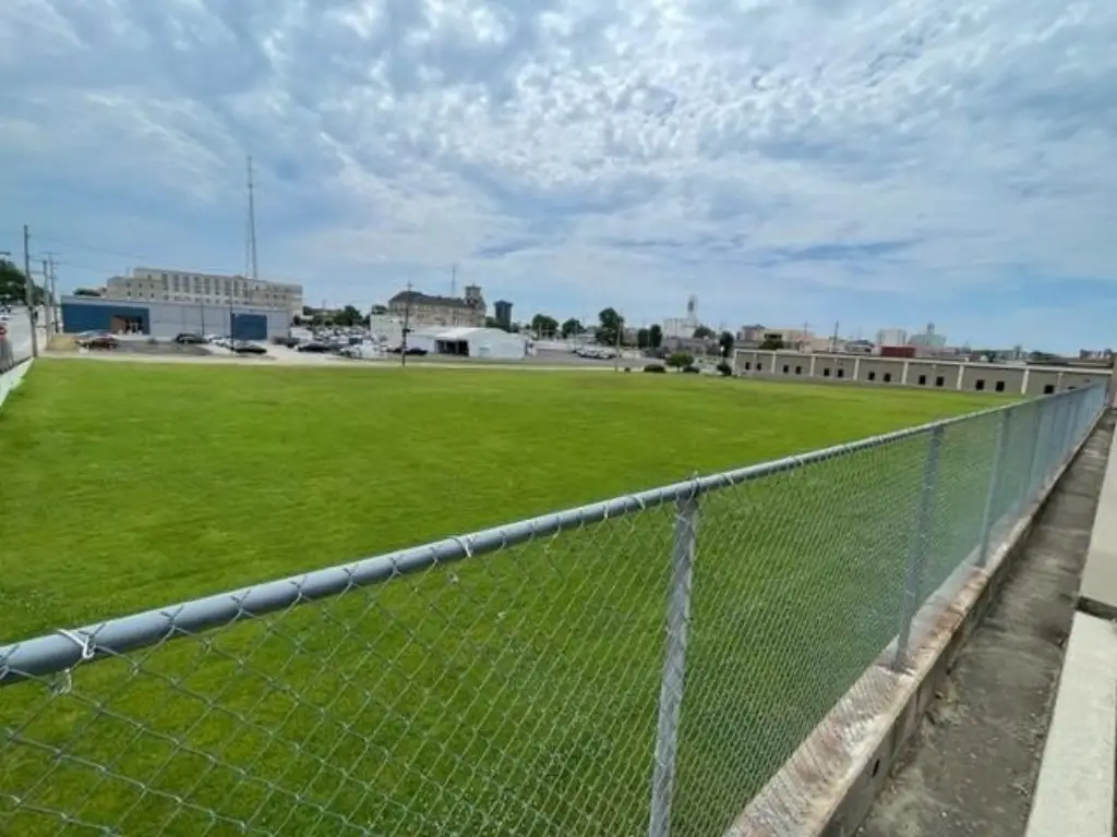 Picture 6