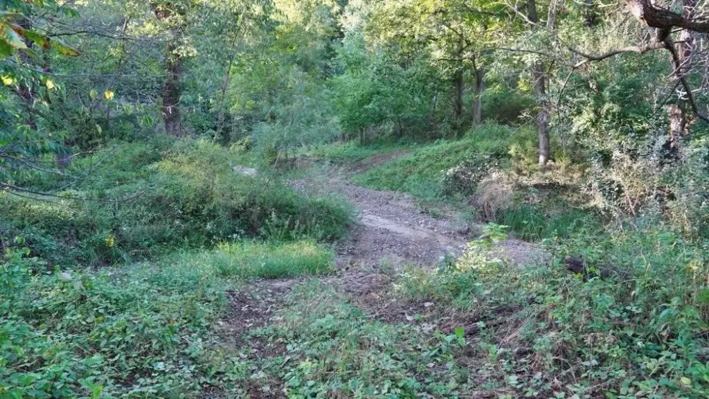 Picture 59