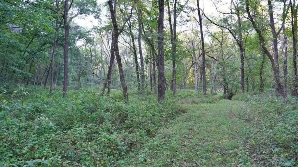 Picture 69