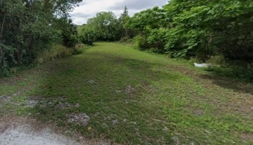 Picture 2