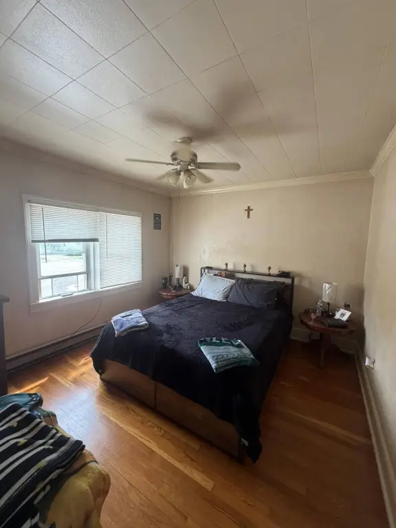 Picture 46