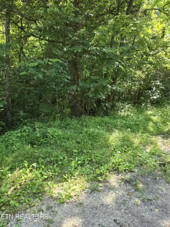 Picture 4
