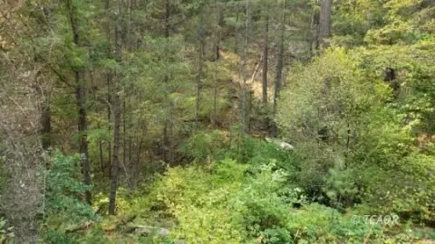 Weaverville Off-Grid Acreage For Sale