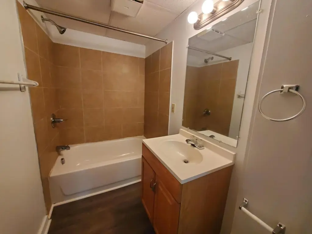 Picture 6