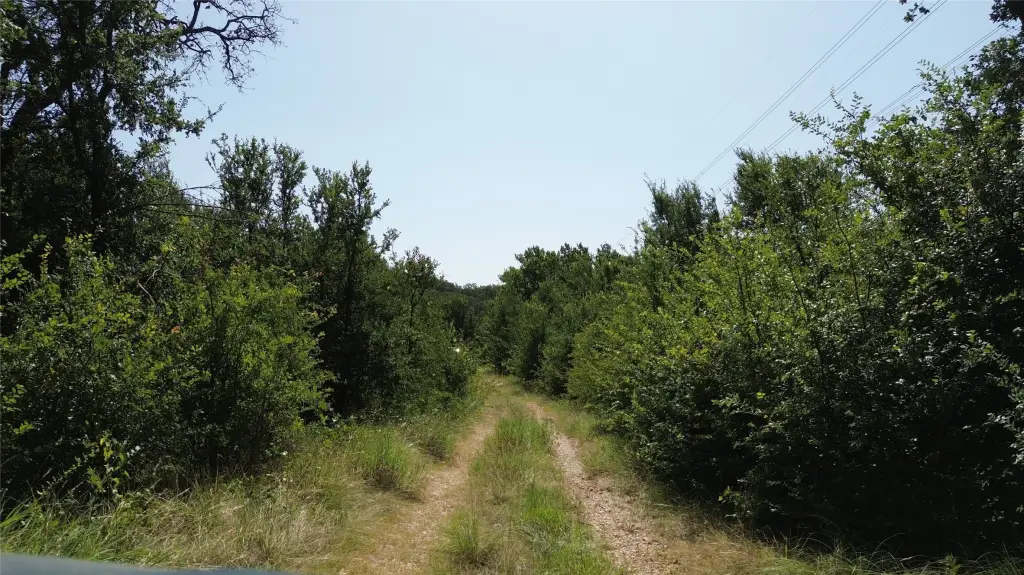 Picture 21