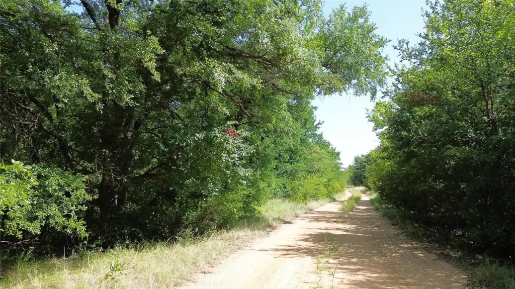 Picture 20