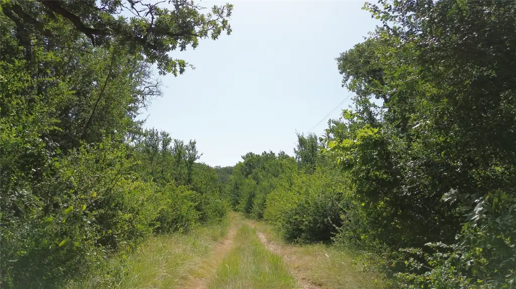 Picture 23