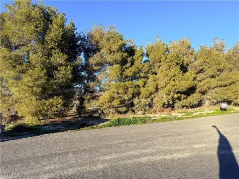 Pahrump Acre Lot with Trees