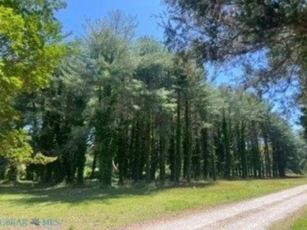 Picture 12