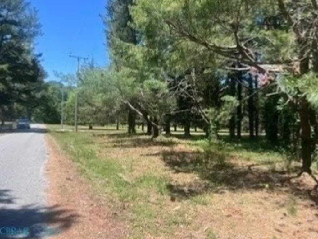 Picture 7