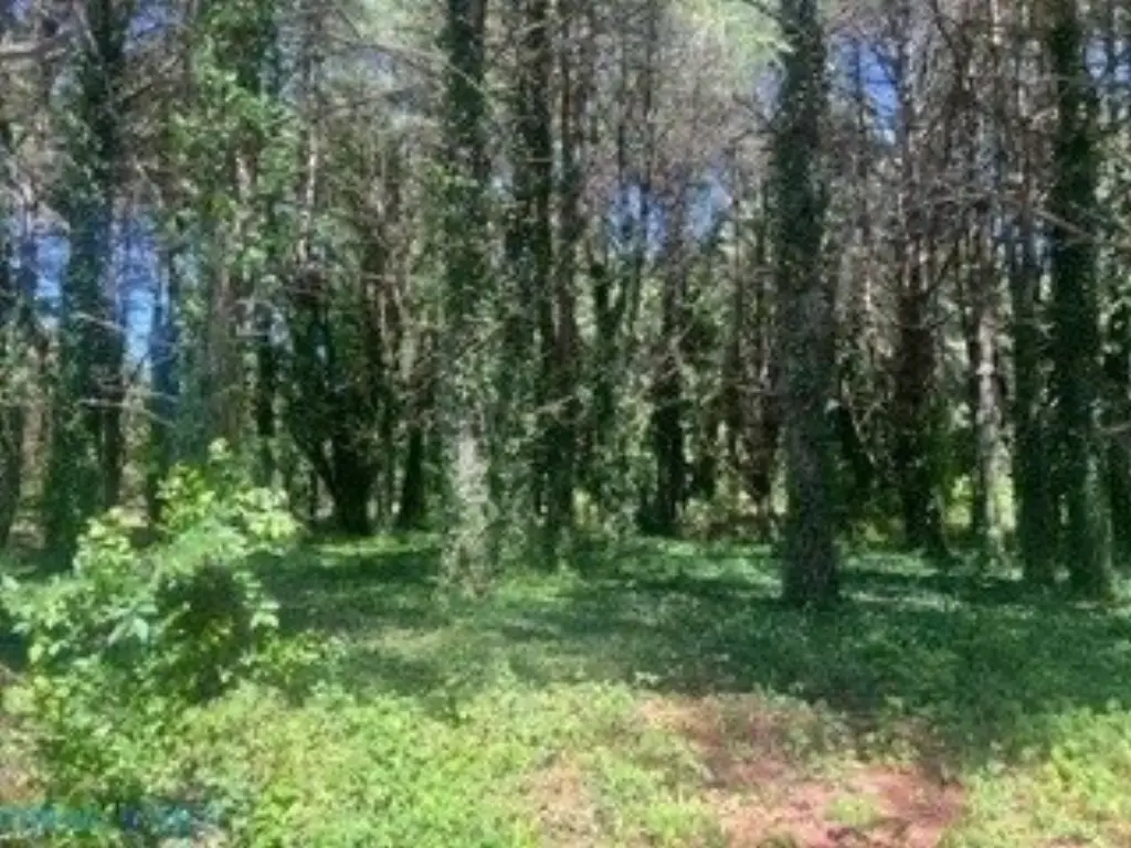 Picture 3